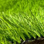 چمن فوتبالی 140 گره 50 میل تک رنگ 3 لایه