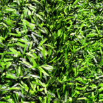 فنس چمنی 4*4
