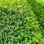 چمن پونه 25 میل دورنگ زیره تک لایه تراکم 18