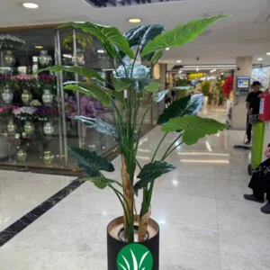 درختچه مصنوعی بابا آدم ۳ تنه ۱۸۰ سانت