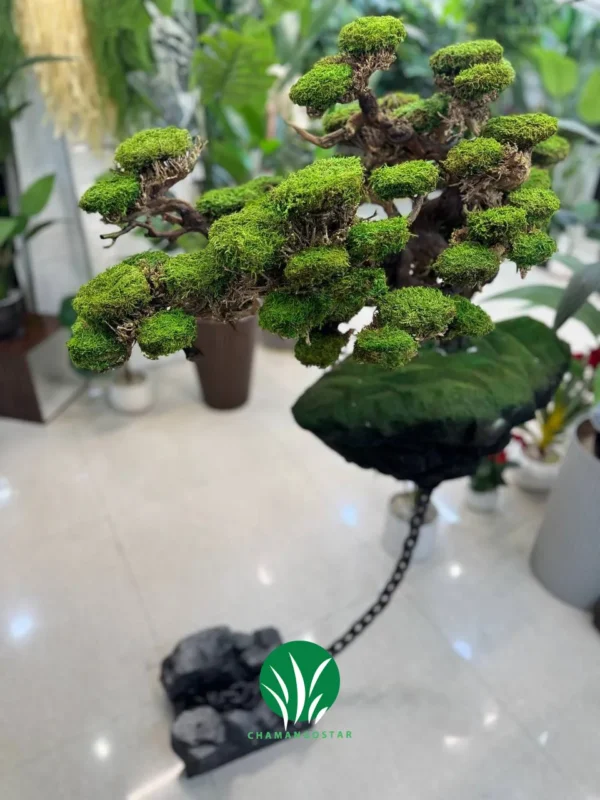 درختچه جاودان فضایی تنه طبیعی خزه مصنوعی