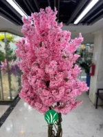 درختچه شکوفه صورتی چمن گستر