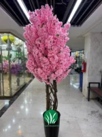 درختچه شکوفه صورتی چمن گستر