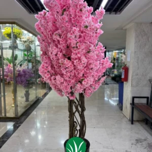 درختچه شکوفه صورتی چمن گستر