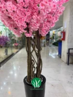 درختچه شکوفه صورتی چمن گستر
