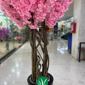درختچه شکوفه صورتی چمن گستر