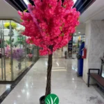 درختچه شکوفه هلو قرمز چمن گستر