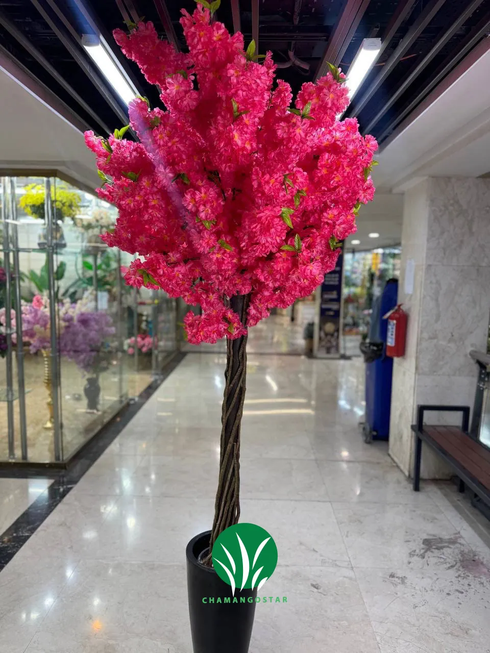 درختچه شکوفه هلو قرمز چمن گستر