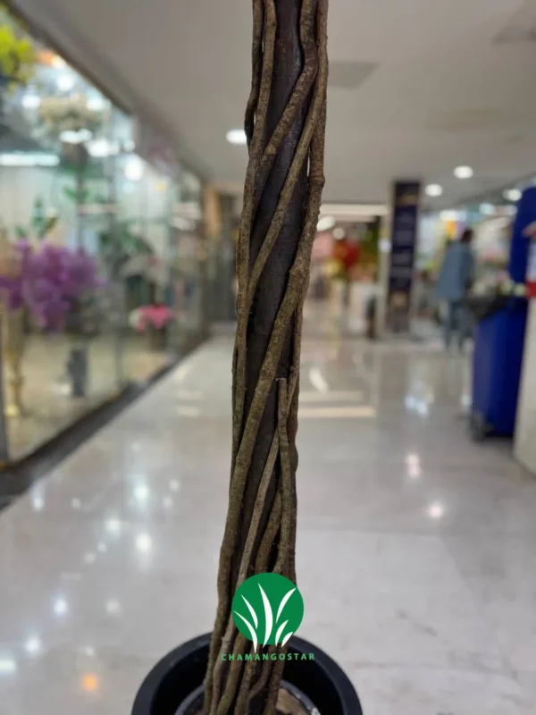 درختچه شکوفه هلو قرمز چمن گستر