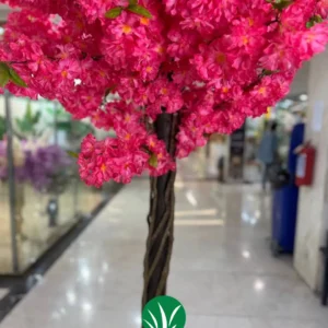 درختچه شکوفه هلو قرمز چمن گستر