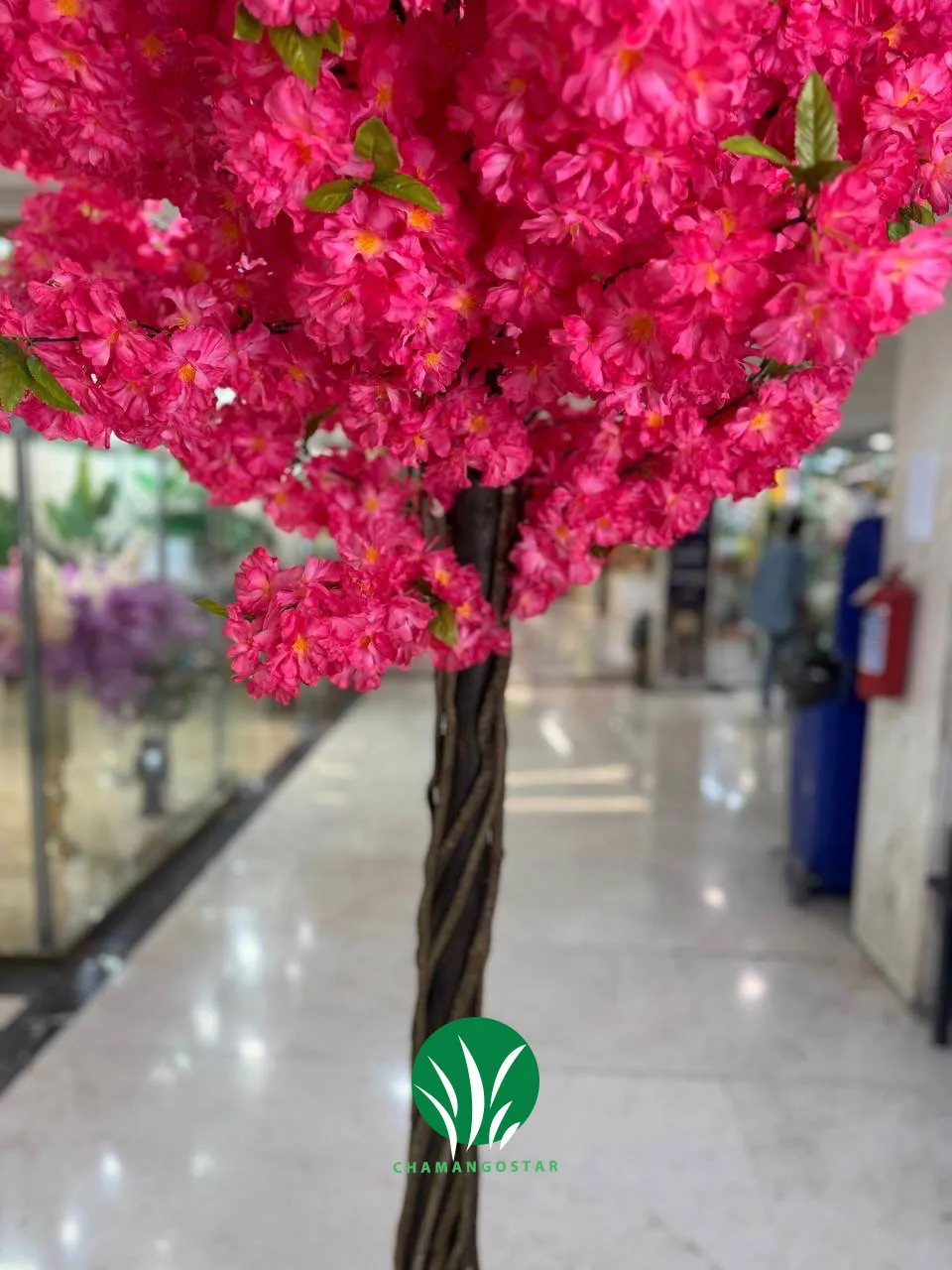 درختچه شکوفه هلو قرمز چمن گستر