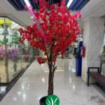 درختچه شکوفه کاغذی چمن گستر