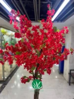 درختچه شکوفه کاغذی چمن گستر