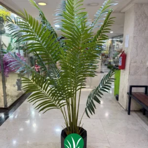 درختچه مصنوعی فینیکس 220 سانت 18 برگ