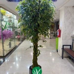 درختچه مصنوعی بنجامین چمن گستر