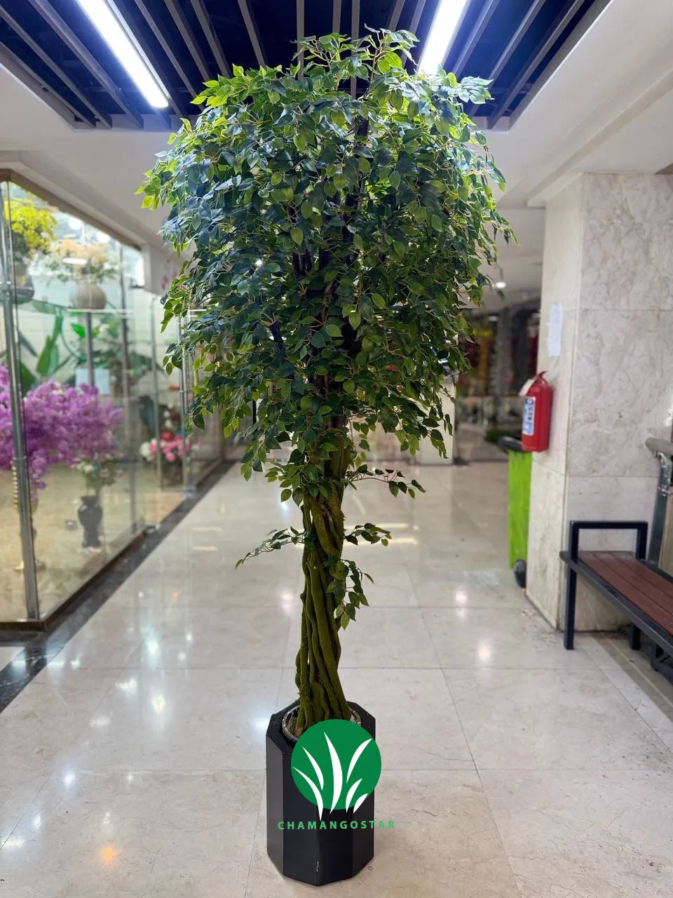 درختچه مصنوعی بنجامین چمن گستر