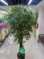 درختچه مصنوعی بنجامین چمن گستر