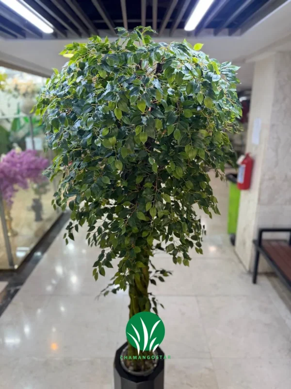 درختچه مصنوعی بنجامین چمن گستر