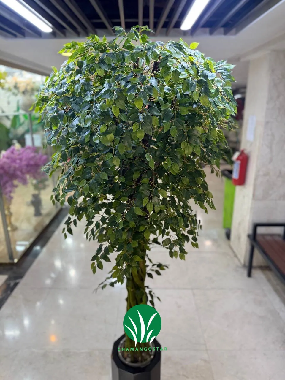 درختچه مصنوعی بنجامین چمن گستر