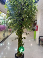 درختچه مصنوعی بنجامین چمن گستر