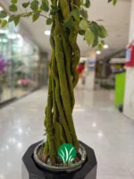 درختچه مصنوعی بنجامین چمن گستر