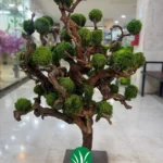 درختچه مصنوعی جاودان تنه طبیعی چمن گستر