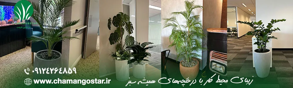 دکوراسیون محیط کار با چمن گستر