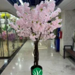 درختچه شکوفه صورتی چمن گستر