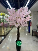درختچه شکوفه صورتی چمن گستر