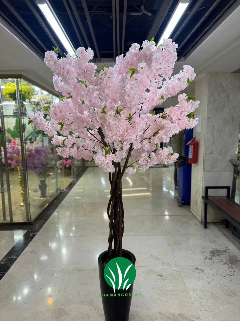 درختچه شکوفه صورتی چمن گستر