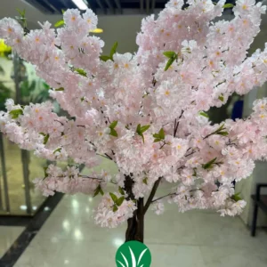 درختچه شکوفه صورتی چمن گستر