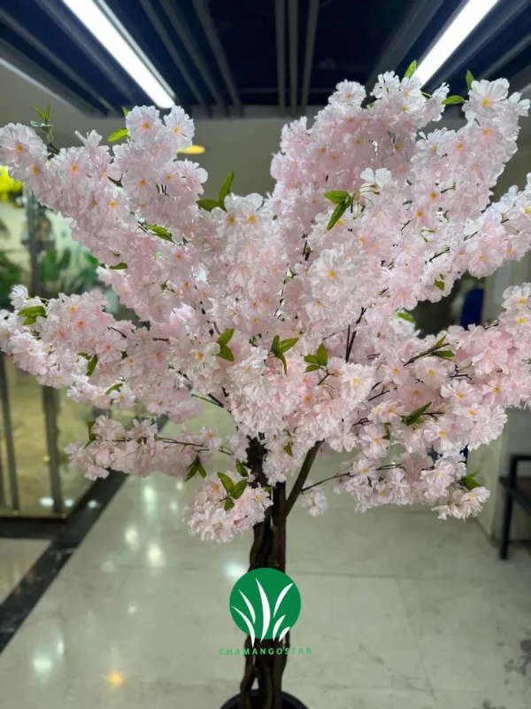 درختچه شکوفه صورتی چمن گستر