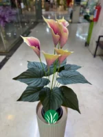 شیپوری تنه فابریک گلدار ۱۱۰ سانت