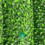 فنس برگ کاج چمن گستر