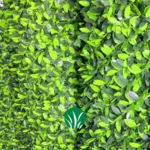 خرید فنس برگ نعناع چمن گستر