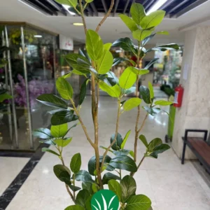 درختچه مصنوعی لیراتا ژورنالی تنه فابریک ۲۶۰ سانت