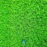 چمن مصنوعی 11 میل پارما
