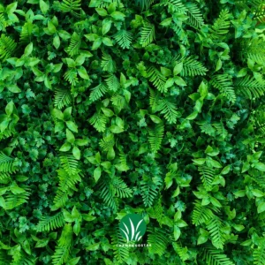 گرین وال سیکاس گشنیز مصنوعی چمن گستر